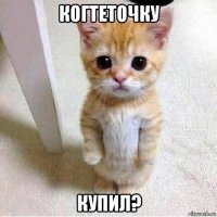 когтеточку купил?