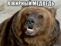 я жирный медведь 