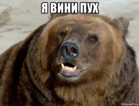 я вини пух 
