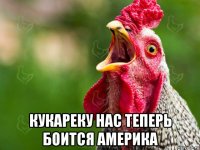  кукареку нас теперь боится америка