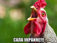  сала украине!!!