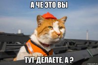 а че это вы тут делаете, а ?