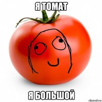 я томат я большой