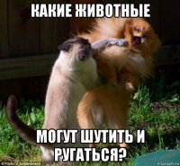какие животные могут шутить и ругаться?