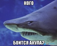 кого боится акула?