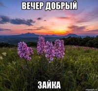 вечер добрый зайка