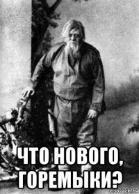  что нового, горемыки?