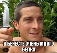  в бересте очень много белка