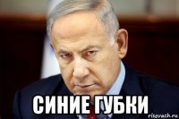  синие губки