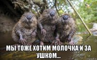  мы тоже хотим молочка и за ушком...