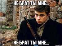 не брат ты мне... не брат ты мне...