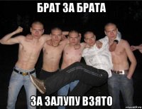брат за брата за залупу взято