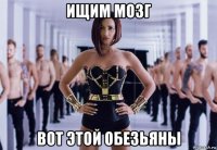 ищим мозг вот этой обезьяны