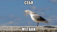 себя мутани