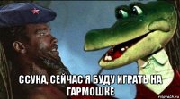  ссука, сейчас я буду играть на гармошке