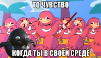 то чувство когда ты в своей среде