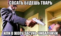 сосать будешь тварь или в жопу засунь чивапчичи