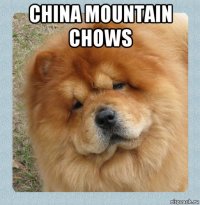 china mountain chows 