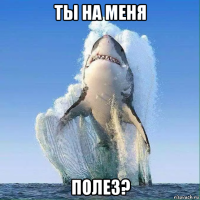 ты на меня полез?
