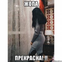 жопа прекрасна! !!