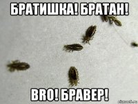 братишка! братан! bro! бравер!
