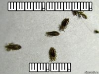 шшшш! шшшшш! шш! шш!