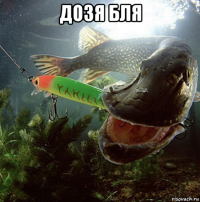 дозя бля 