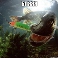 бляяя 