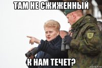 там не сжиженный к нам течет?