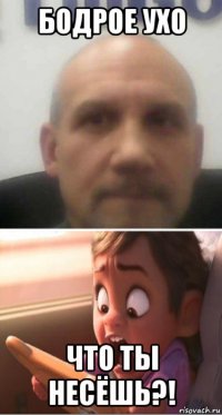 бодрое ухо что ты несёшь?!