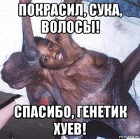 покрасил, сука, волосы! спасибо, генетик хуев!