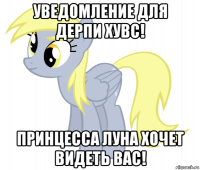 уведомление для дерпи хувс! принцесса луна хочет видеть вас!