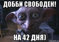 добби свободен! на 42 дня)