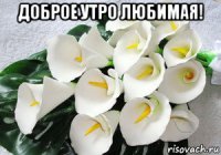 доброе утро любимая! 
