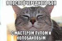 я после очередного боя с мастером пулом и колобановым