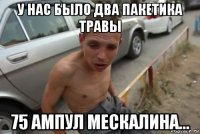 у нас было два пакетика травы 75 ампул мескалина...
