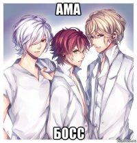 ама босс