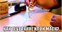  как тебе такое илон маск?