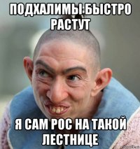подхалимы быстро растут я сам рос на такой лестнице