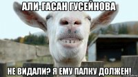 али-гасан гусейнова не видали? я ему палку должен!