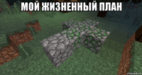 мой жизненный план 