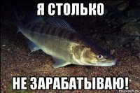 я столько не зарабатываю!