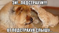 эй!...подстрахуй!!! от подстрахуя слышу...