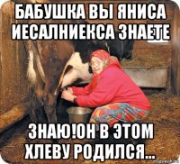 бабушка вы яниса иесалниекса знаете знаю!он в этом хлеву родился...