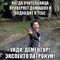 когда учительница проверяет домашку и подходит к тебе: уйди, дементор! экспекто патронум!