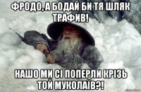 фродо, а бодай би тя шляк трафив! нашо ми сі поперли крізь той муколаїв?!