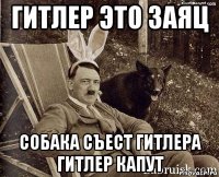 гитлер это заяц собака съест гитлера гитлер капут