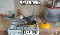 чёт голуби охренели