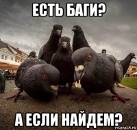 есть баги? а если найдем?