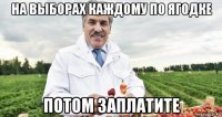 на выборах каждому по ягодке потом заплатите